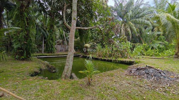 DIJUAL CEPAT – TANAH + RUMAH LUAS ±7 RANTE DIJUAL CEPAT – TANAH + RUMAH LUAS ±7 RANTE