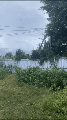 jual tanah di jimbaran kuta selatan ITR pink jual tanah di jimbaran kuta selatan ITR pink