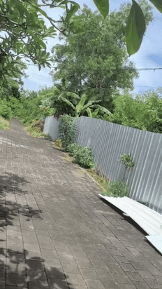 jual tanah di jimbaran kuta selatan ITR pink jual tanah di jimbaran kuta selatan ITR pink