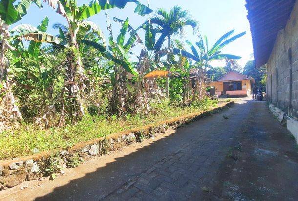 Miliki Pekarangan Kaliurang Jogja Prospek Bangun Kos Miliki Pekarangan Kaliurang Jogja Prospek Bangun Kos