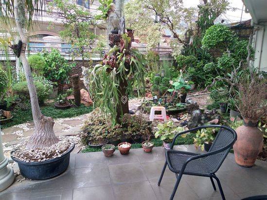 Dijual BU: Rumah Tinggal Keluarga Besar dan Bisnis Kost Cempaka Putih Barat Dijual BU: Rumah Tinggal Keluarga Besar dan Bisnis Kost Cempaka Putih Barat