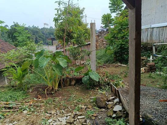 Disewakan Rumah untuk keluarga Disewakan Rumah untuk keluarga