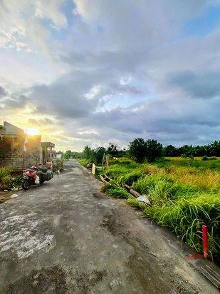 LSH-015.DAU | Sewa 20Th Tanah Kavling View Sawah Lokasi Strategis di Jl Sedap Malam Denpasar LSH-015.DAU | Sewa 20Th Tanah Kavling View Sawah Lokasi Strategis di Jl Sedap Malam Denpasar