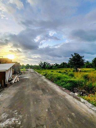 LSH-015.DAU | Sewa 20Th Tanah Kavling View Sawah Lokasi Strategis di Jl Sedap Malam Denpasar LSH-015.DAU | Sewa 20Th Tanah Kavling View Sawah Lokasi Strategis di Jl Sedap Malam Denpasar