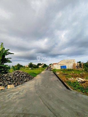 LSH-015.DAU | Sewa 20Th Tanah Kavling View Sawah Lokasi Strategis di Jl Sedap Malam Denpasar LSH-015.DAU | Sewa 20Th Tanah Kavling View Sawah Lokasi Strategis di Jl Sedap Malam Denpasar