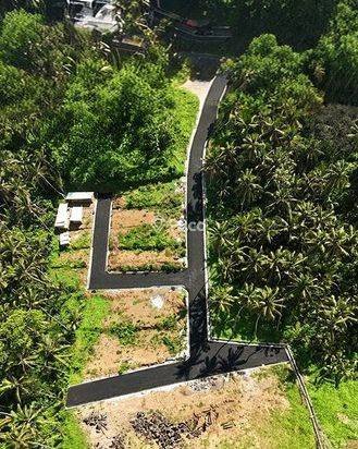 AMS-011.RCK πΏ DIJUAL! Tanah Kavling Premium di Saba Gianyar β View Sungai & Sawah, Harga Masih Terjangkau! (Stok Hampir Habis!) AMS-011.RCK πΏ DIJUAL! Tanah Kavling Premium di Saba Gianyar β View Sungai & Sawah, Harga Masih Terjangkau! (Stok Hampir Habis!)
