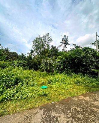 AMS-018.DKA ποΈ Tanah Premium Dijual Dekat Virgin Beach Bukit Asah Karangasem β Akses Langsung Pantai AMS-018.DKA ποΈ Tanah Premium Dijual Dekat Virgin Beach Bukit Asah Karangasem β Akses Langsung Pantai