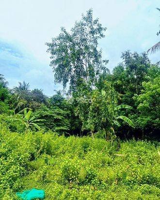 AMS-018.DKA ποΈ Tanah Premium Dijual Dekat Virgin Beach Bukit Asah Karangasem β Akses Langsung Pantai AMS-018.DKA ποΈ Tanah Premium Dijual Dekat Virgin Beach Bukit Asah Karangasem β Akses Langsung Pantai