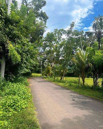 AMS-018.DKA ποΈ Tanah Premium Dijual Dekat Virgin Beach Bukit Asah Karangasem β Akses Langsung Pantai AMS-018.DKA ποΈ Tanah Premium Dijual Dekat Virgin Beach Bukit Asah Karangasem β Akses Langsung Pantai