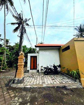 AMR-113.WEN 🌿 Stylish 3BR Villa for Yearly Rent Near Green School – Serene Living in Sibang AMR-113.WEN 🌿 Stylish 3BR Villa for Yearly Rent Near Green School – Serene Living in Sibang