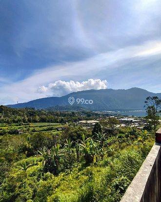 AMS-036.PEP 🏡 Jual Rumah View Danau Beratan – Tanah Luas 1.800 m² di Bedugul, Potensi Villa & Investasi! AMS-036.PEP 🏡 Jual Rumah View Danau Beratan – Tanah Luas 1.800 m² di Bedugul, Potensi Villa & Investasi!