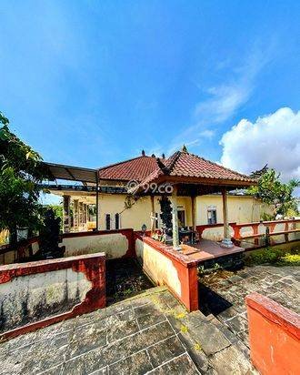 AMS-036.PEP 🏡 Jual Rumah View Danau Beratan – Tanah Luas 1.800 m² di Bedugul, Potensi Villa & Investasi! AMS-036.PEP 🏡 Jual Rumah View Danau Beratan – Tanah Luas 1.800 m² di Bedugul, Potensi Villa & Investasi!