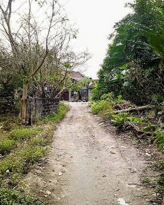 AMS-039.TJG 🔥 TANAH SUPER PREMIUM DI JALAN UTAMA MAHENDRADATTA – INVESTASI EMAS DENPASAR BARAT! AMS-039.TJG 🔥 TANAH SUPER PREMIUM DI JALAN UTAMA MAHENDRADATTA – INVESTASI EMAS DENPASAR BARAT!