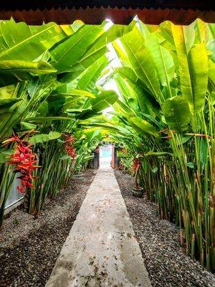 AMR-102.NVT-M 🌿 For Monthly Rent A Charming Wooden House in Padangsambian Kaja – Cozy 1BR Living with Private Garden AMR-102.NVT-M 🌿 For Monthly Rent A Charming Wooden House in Padangsambian Kaja – Cozy 1BR Living with Private Garden