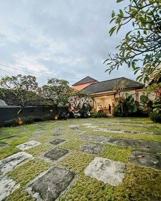 AMR-099.ED.RR 🌿 Monthly Rent Apartment with Beautiful Tropical Garden in South Denpasar AMR-099.ED.RR 🌿 Monthly Rent Apartment with Beautiful Tropical Garden in South Denpasar