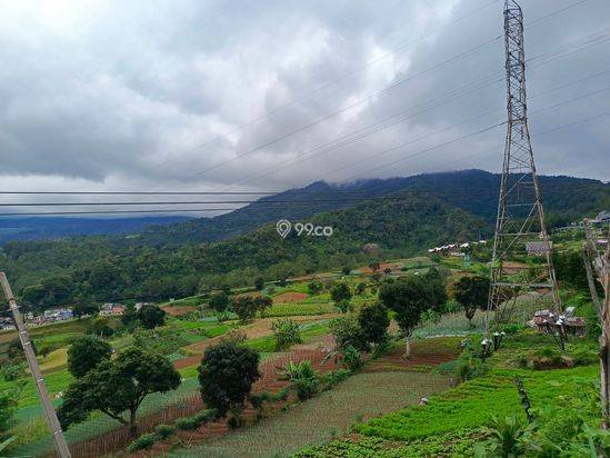 Dijual tanah puncak Ciloto Dijual tanah puncak Ciloto