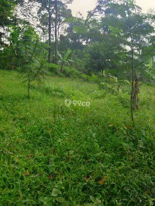 Di jual tanah kebun lokasi dekat dengan pembangunan Pemda Bogor timur cocok buat investasi masa depan Di jual tanah kebun lokasi dekat dengan pembangunan Pemda Bogor timur cocok buat investasi masa depan