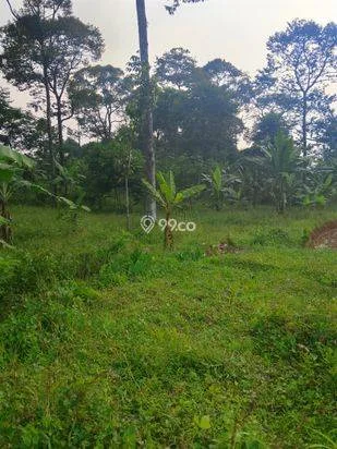 Di jual tanah kebun lokasi dekat dengan pembangunan Pemda Bogor timur cocok buat investasi masa depan Di jual tanah kebun lokasi dekat dengan pembangunan Pemda Bogor timur cocok buat investasi masa depan