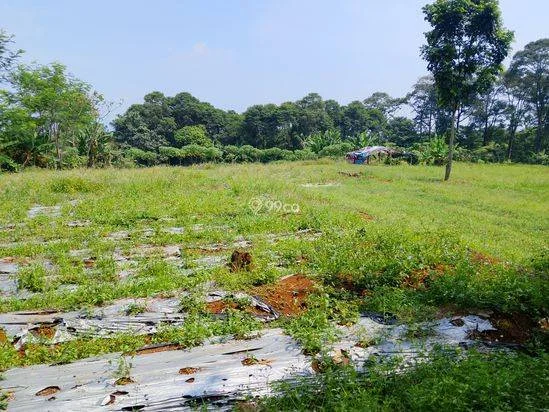 Di jual tanah kebun lokasi dekat dengan pembangunan Pemda Bogor timur cocok buat investasi masa depan Di jual tanah kebun lokasi dekat dengan pembangunan Pemda Bogor timur cocok buat investasi masa depan