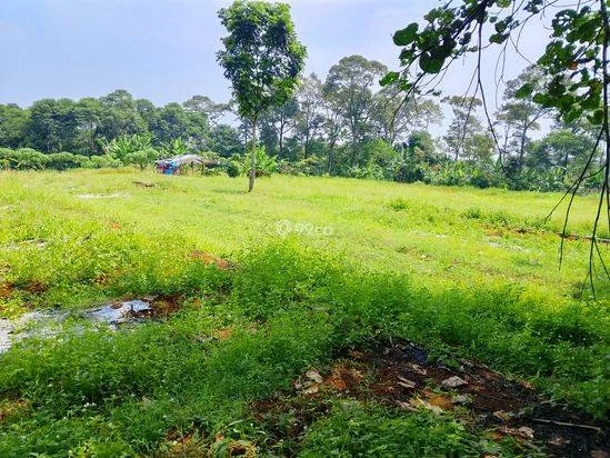 Di jual tanah kebun lokasi dekat dengan pembangunan Pemda Bogor timur cocok buat investasi masa depan Di jual tanah kebun lokasi dekat dengan pembangunan Pemda Bogor timur cocok buat investasi masa depan