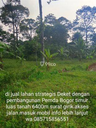 Di jual tanah kebun lokasi dekat dengan pembangunan Pemda Bogor timur cocok buat investasi masa depan Di jual tanah kebun lokasi dekat dengan pembangunan Pemda Bogor timur cocok buat investasi masa depan