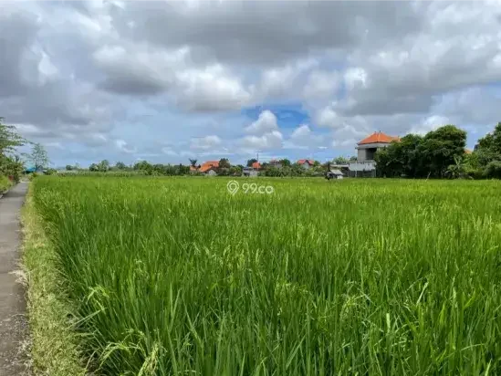 Kost Eksklusif Denpasar Bali Kost Eksklusif Denpasar Bali