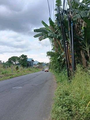 Rumah green hill banting harga Rumah green hill banting harga