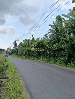 Rumah green hill banting harga Rumah green hill banting harga