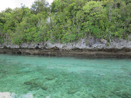 Lahan Terbaik di Maratua SHM + Danau Alami, Laut Barat & Teluk Timur Lahan Terbaik di Maratua SHM + Danau Alami, Laut Barat & Teluk Timur