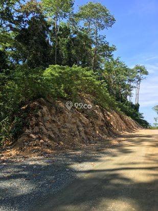 Lahan Terbaik di Maratua SHM + Danau Alami, Laut Barat & Teluk Timur Lahan Terbaik di Maratua SHM + Danau Alami, Laut Barat & Teluk Timur