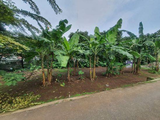 DIJUAL TANAH LUAS LEGALITAS SHM DEKAT DEPOK TOWN SQUARE DIJUAL TANAH LUAS LEGALITAS SHM DEKAT DEPOK TOWN SQUARE