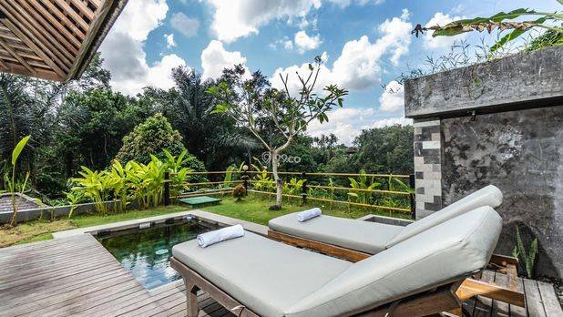 For sale: 5 Villas with private Swimming Pool and cafe in spacious land For sale: 5 Villas with private Swimming Pool and cafe in spacious land