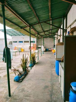Patrick rumah Dan Usaha nya di holis bandung Patrick rumah Dan Usaha nya di holis bandung