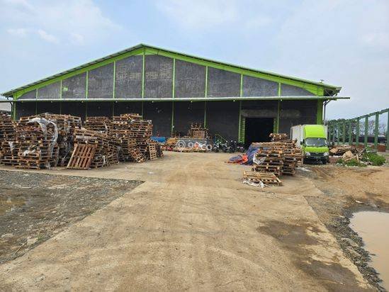 Disewakan Gudang Pabrik di Tangerang Kota, Kawasan Industri Bayur, Luas 8000m2, bangunan 4794m2, Pabrik akses container 40ft gudang siap Pakai di Tangerang disewakan dan dijual Gudang Baru Tangerang Disewakan Gudang Pabrik di Tangerang Kota, Kawasan Industri Bayur, Luas 8000m2, bangunan 4794m2, Pabrik akses container 40ft gudang siap Pakai di Tangerang disewakan dan dijual Gudang Baru Tangerang