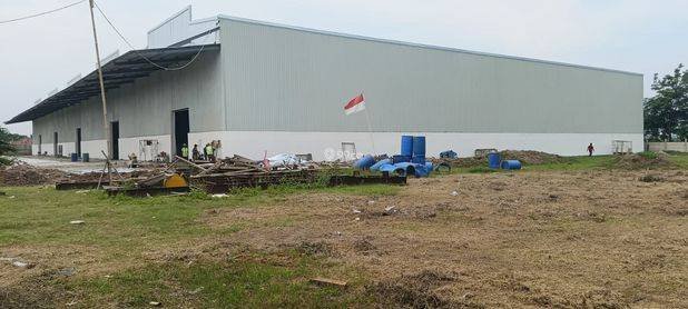 Disewakan Gudang Tangerang luas Bangunan 7200m2 siap Pakai, Gudang Baru akses container 40ft di Tangerang, Gudang siap Pakai harga murah 55rb/m2/bulan, Gudang Brand new warehouse for rent in Tangerang Disewakan Gudang Tangerang luas Bangunan 7200m2 siap Pakai, Gudang Baru akses container 40ft di Tangerang, Gudang siap Pakai harga murah 55rb/m2/bulan, Gudang Brand new warehouse for rent in Tangerang