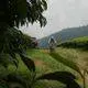 Asep Asep