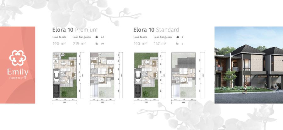 Cluster Emily Elora 10