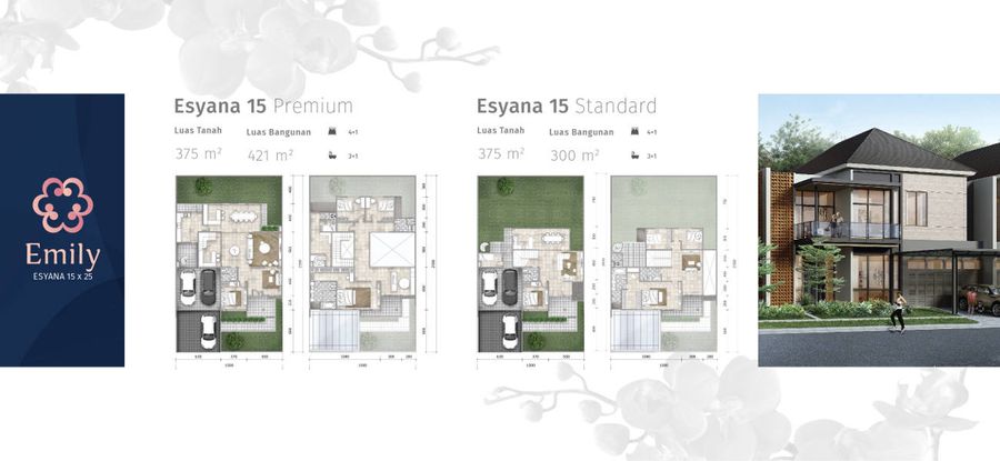 Cluster Emily Esyana 15