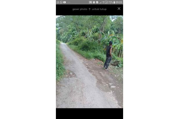 Dijual Tanah Sukasari Sayap Tol Cimalaka Cisundawu Sumedang