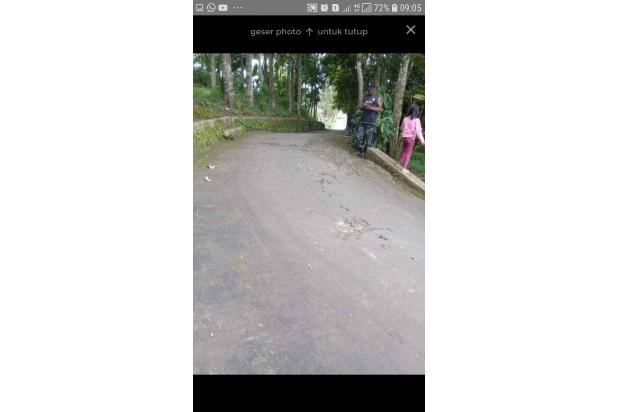Dijual Tanah Sukasari Sayap Tol Cimalaka Cisundawu Sumedang