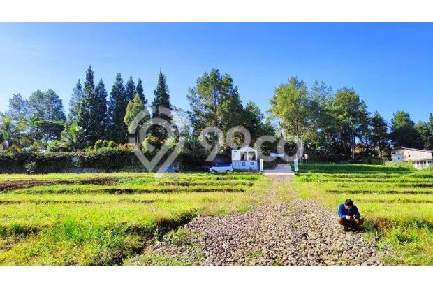 Tanah di jalan alternatif gadog ciawi 200 SHM