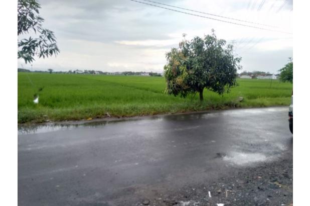 Tanah Solo Murah Mojolaban, SHM