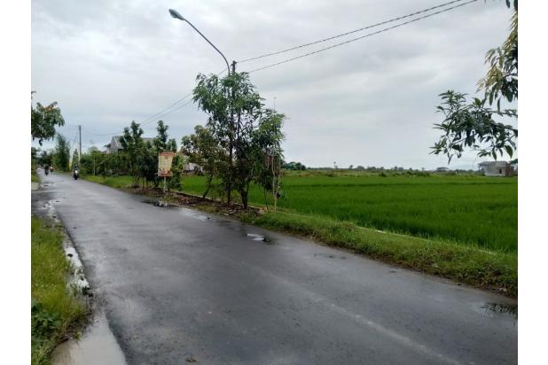 Tanah Solo Murah Mojolaban, SHM