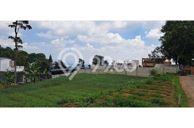 JUAL CEPAT TANAH MURAH LEGALITAS SHM DI PUNCAK BOGOR 
