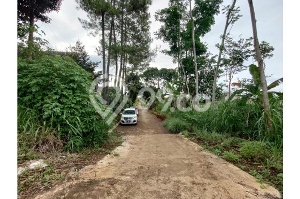 Tanah luas murah bagus cocok untuk perumahan & usaha di Malang