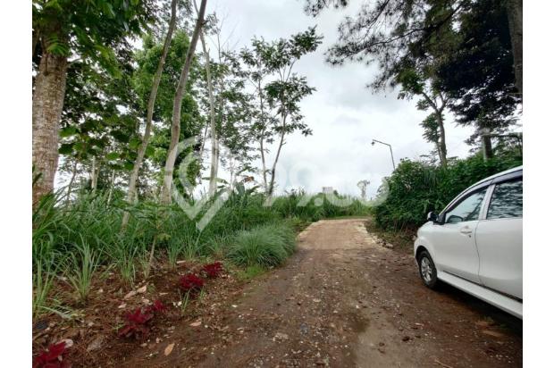 Tanah luas murah bagus cocok untuk perumahan & usaha di Malang