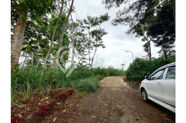 Tanah luas murah bagus cocok untuk perumahan & usaha di Malang