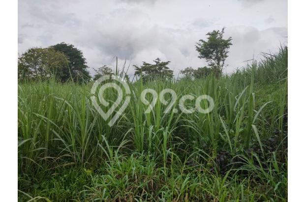 Tanah luas murah bagus cocok untuk perumahan & usaha di Malang