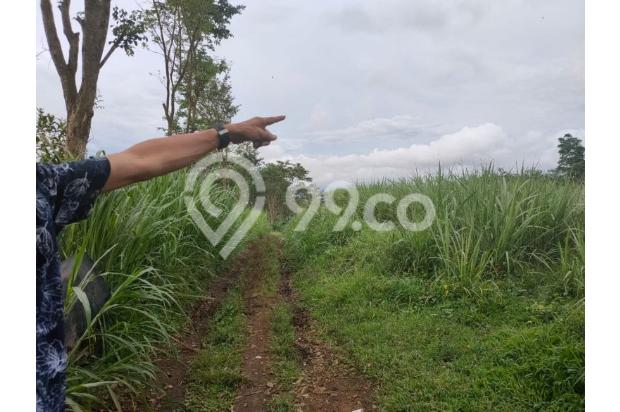 Tanah luas murah bagus cocok untuk perumahan & usaha di Malang