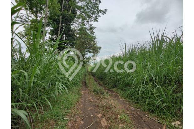 Tanah luas murah bagus cocok untuk perumahan & usaha di Malang